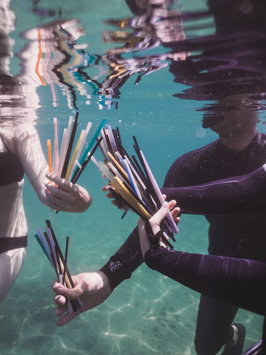 Three swimmers holding bunches of recovered plastic straws underwater.