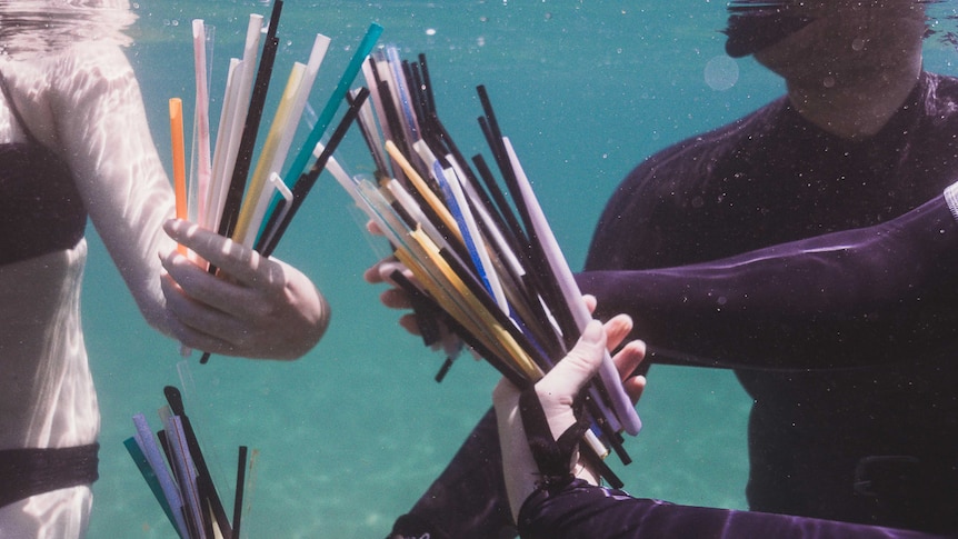 Three swimmers holding bunches of recovered plastic straws underwater.