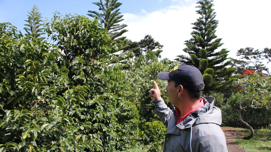 Landreth Laws, a coffee tourism operator in Boquete, Panama 2