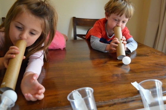 Alice's kids play with used paper towel rolls