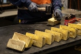 A number of gold bars lined up and being stamped by a worker using a hammer.  
