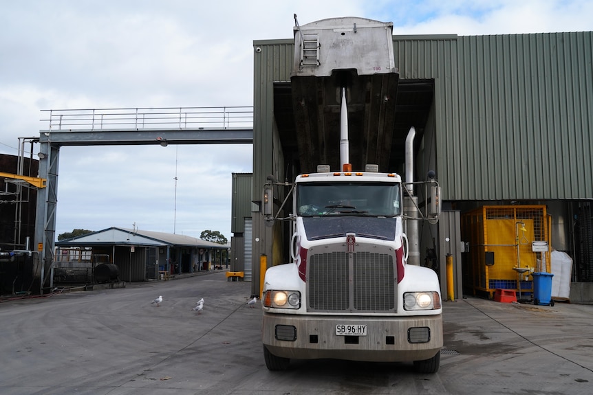 A truck unloading outside a plant