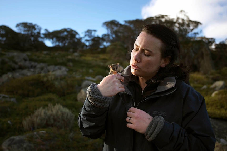 A woman holding a pygmy possum