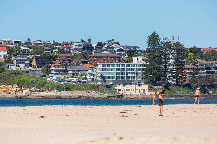 Dee Why beach is bustling with activity