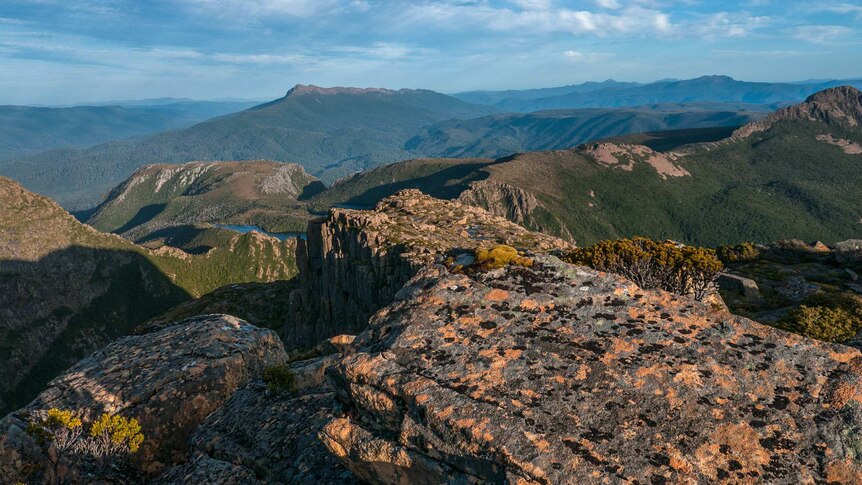 The Government appears to have backed down on mining but is pushing ahead with plans to allow logging in the WHA.