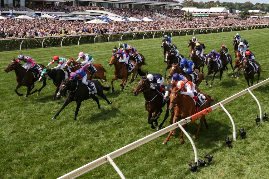 Horses finish a race, with the winning jockey in orange and white colours ahead of a jockey in white cap, navy colours.