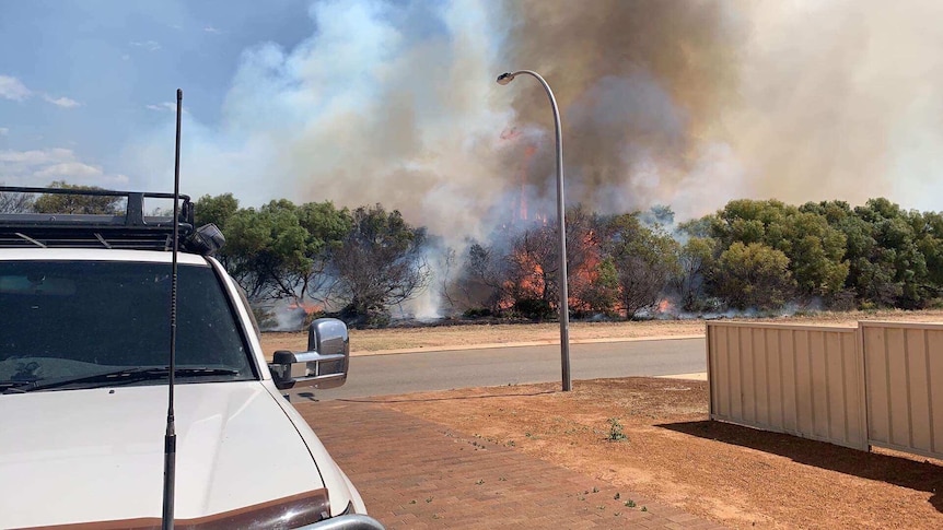 Flames shoot up in a plume, burning in bushes on the other side of the road from the camera, about 15 metres away.