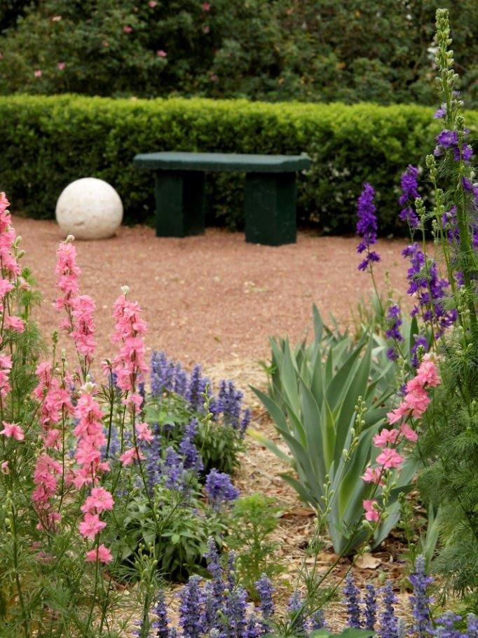 Bearded Iris and Larkspurs in the garden