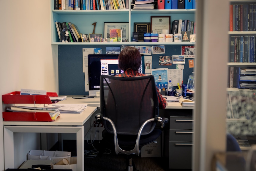 A perspective of the back of a woman sitting in an office at a computer screen.