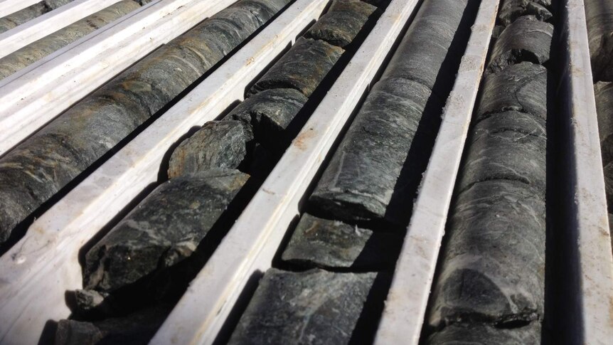 Dozens of core samples from gold drilling lay in outdoor racks