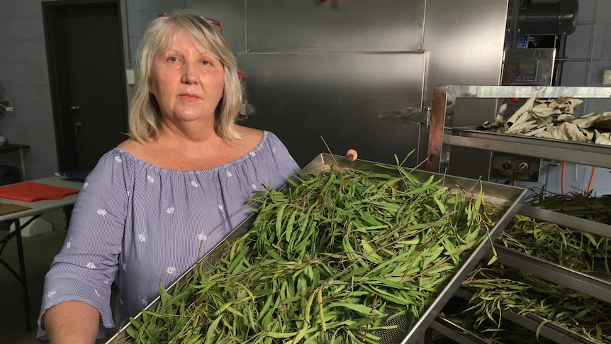 A woman wearing a blue shirt looks at the camera holding a metal tray full of leaves