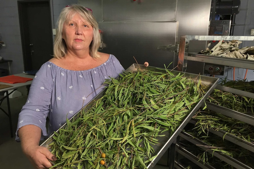 A woman wearing a blue shirt looks at the camera holding a metal tray full of leaves