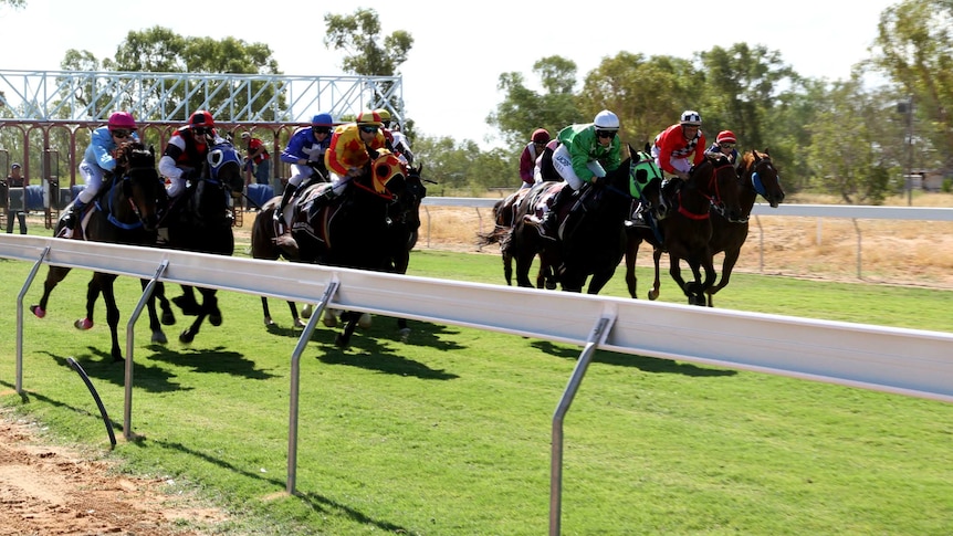 Horses on the new turf track in Barcaldine racing away from the starting line