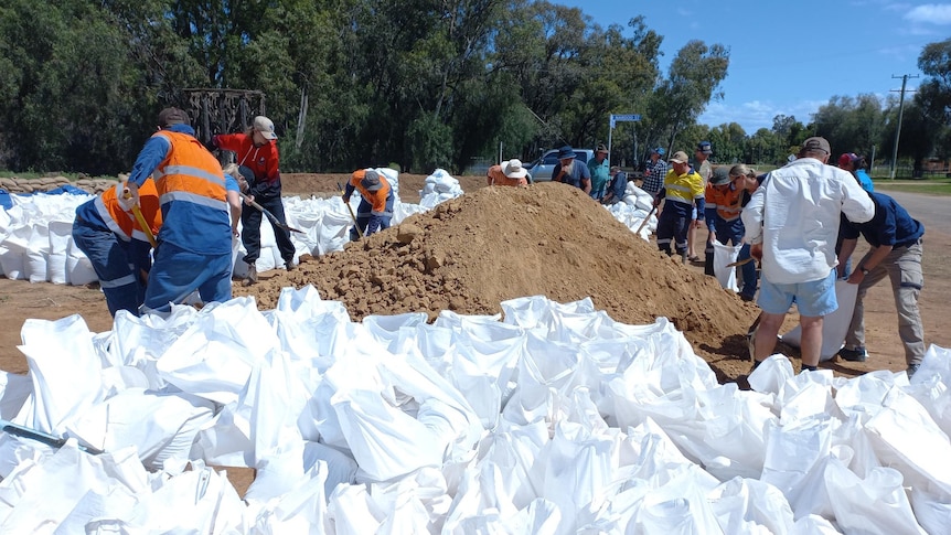 Workers helping the stabilise the Euabalong levee with sandbags.