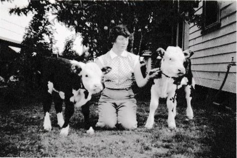 A picture from the 1940s of a young woman with two young calves