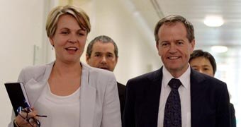 Shorten Plibersek custom