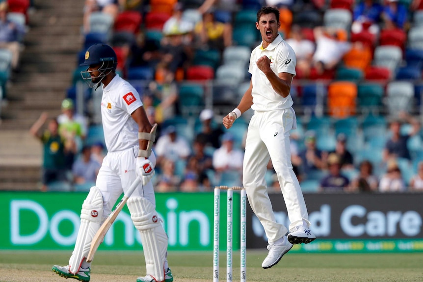 Mitchell Starc celebrates Dinesh Chandimal's dismissal after gloving to the keeper in Canberra