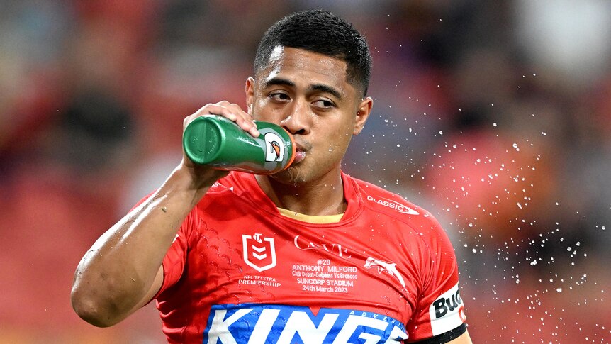 A Dolphins NRL player takes a drink from a water bottle before a match.