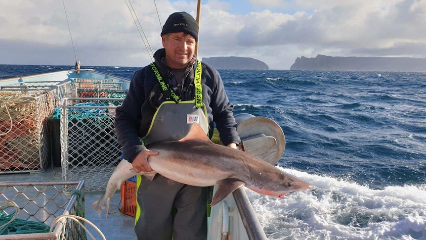 a fisherman standing on his boat, out at sea, holding a shark that's just been caught
