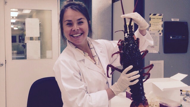 Jennie Chandler wearing a lab jacket smiles at the camera holding a huge Eastern Rock lobster in gloved hands.