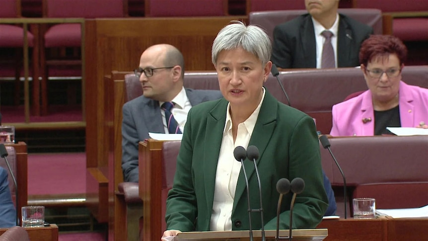 Penny Wong speaking into a microphone at the Senate.