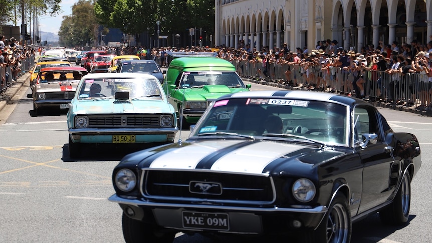 Muscle cars on Northbourne Avenue.