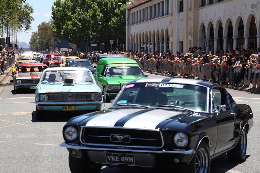 Muscle cars on Northbourne Avenue.