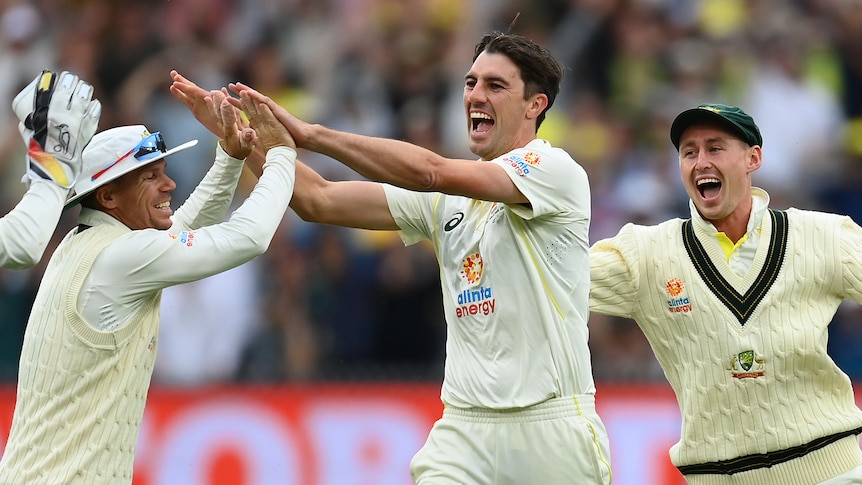 Pat Cummins, Marnus Labuschagne and David Warner celebrate