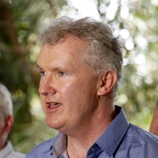 Tony Burke looks to his right while speaking with blurred trees and sky in the background