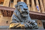 Close-up of a lion statue outside Brisbane City Hall.