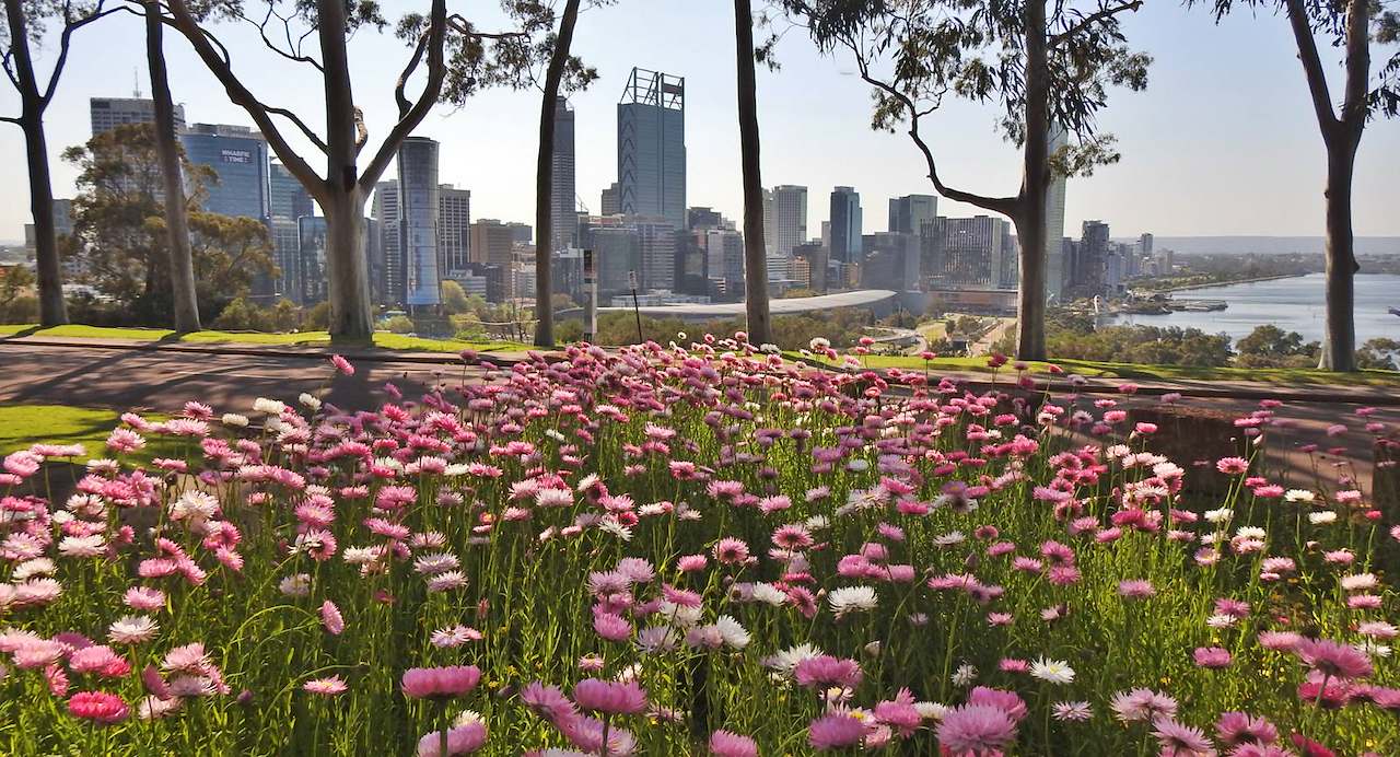 WA's varied climate — rainfall to heat — captured in the first month of Spring