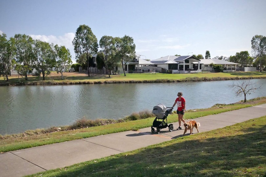 A woman walks a dog beside a lake in the suburb of Idalia Townsville