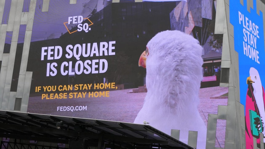 A large sign with a seagull depicted on it states that Melbourne's Federation Square is closed.