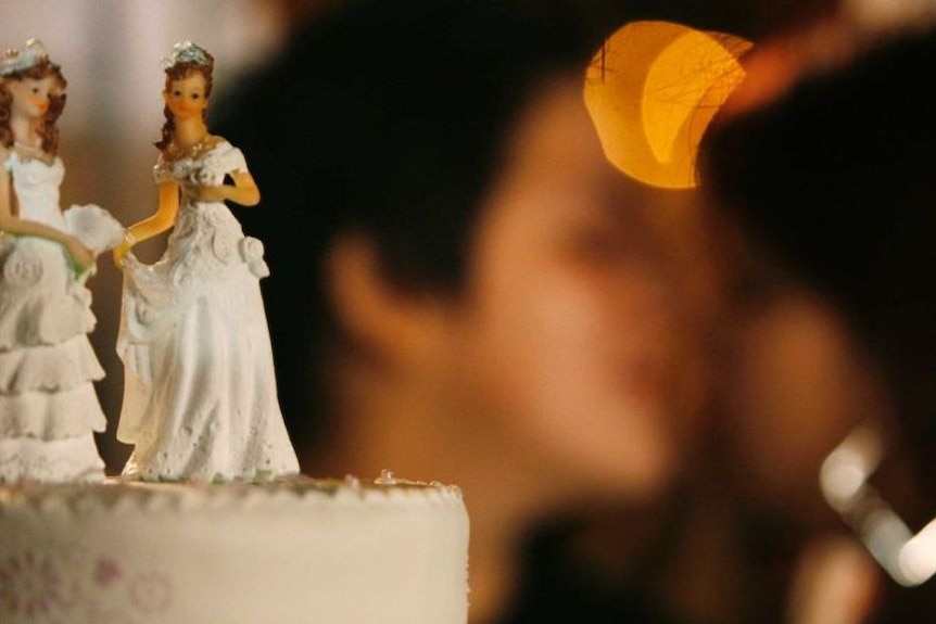 Bakers should have choice over gay wedding cakes, LNP leader says