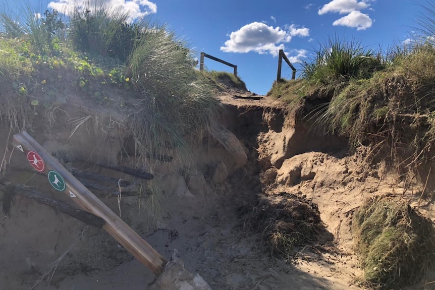 Sand dunes destroyed and walking poles smashed on beach. 