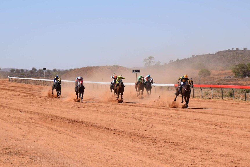 seven horses with jockey's on their back race on the dirt track, dust blowing behind