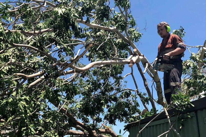 A man chainsaws a fallen tree, as Darwin cleans-up following Tropical Cyclone Marcus.
