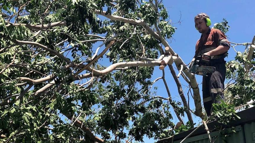 A man chainsaws a fallen tree, as Darwin cleans-up following Tropical Cyclone Marcus.