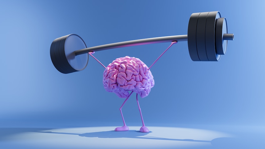 Model of brain lifts weights