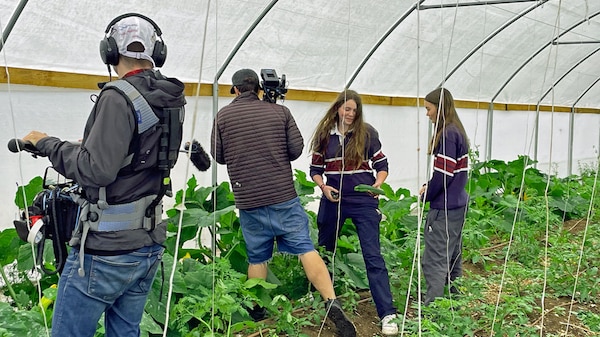 High school students being filmed by a television crew inside a garden nursery polytunnel.