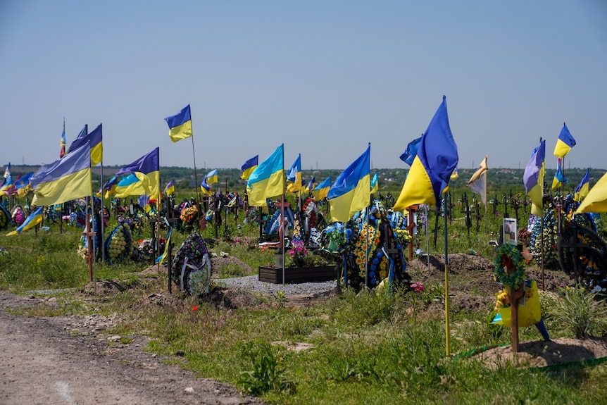 Dozens of Ukrainian flags fluttering in a cemetary.