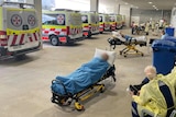A row of ambulances and some of their patients wait outside Gosford Hospital's emergency department. Oct. 2022 
