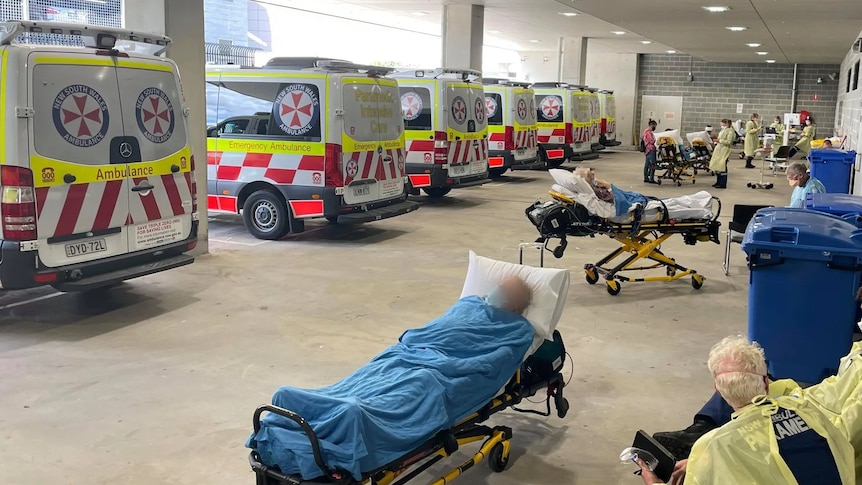 A row of ambulances and some of their patients wait outside Gosford Hospital's emergency department. Oct. 2022 