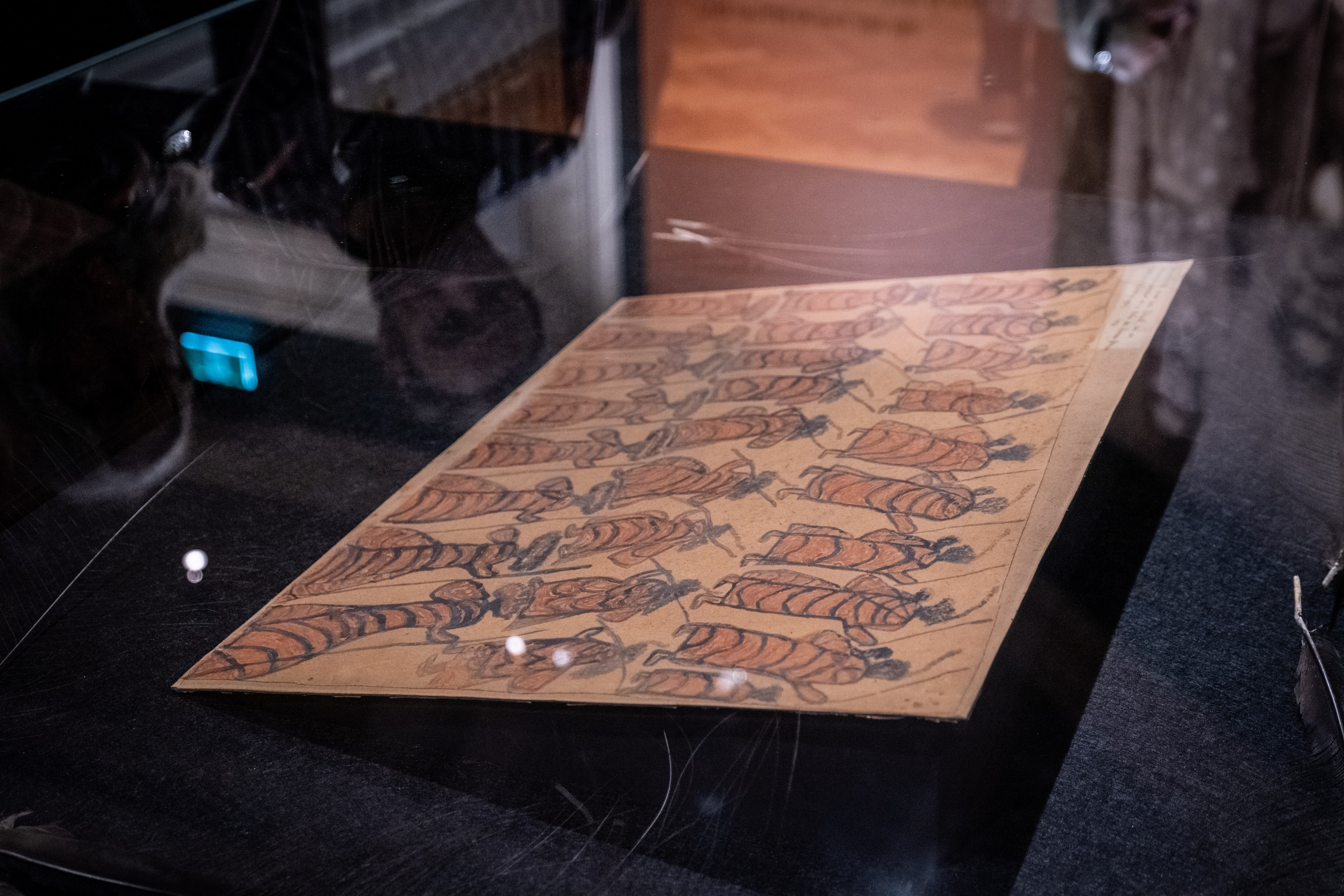 A painting of three rows of women in possum skin cloaks.