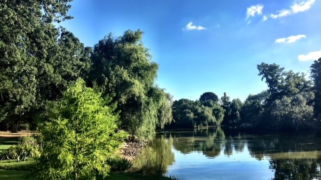 This lake in the garden was the setting of a funeral last December