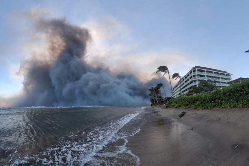 Smoke billows out across the ocean next to a resort right on the coast. Palm trees bend slightly in the strong wind.