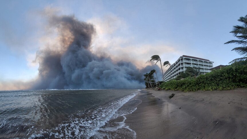 Smoke billows out across the ocean next to a resort right on the coast. Palm trees bend slightly in the strong wind.