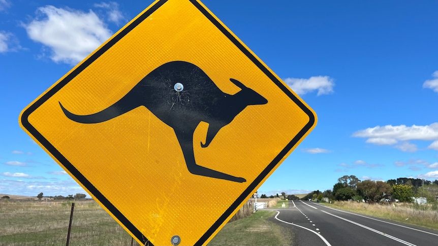 A road sign showing kangaroos in the area. 