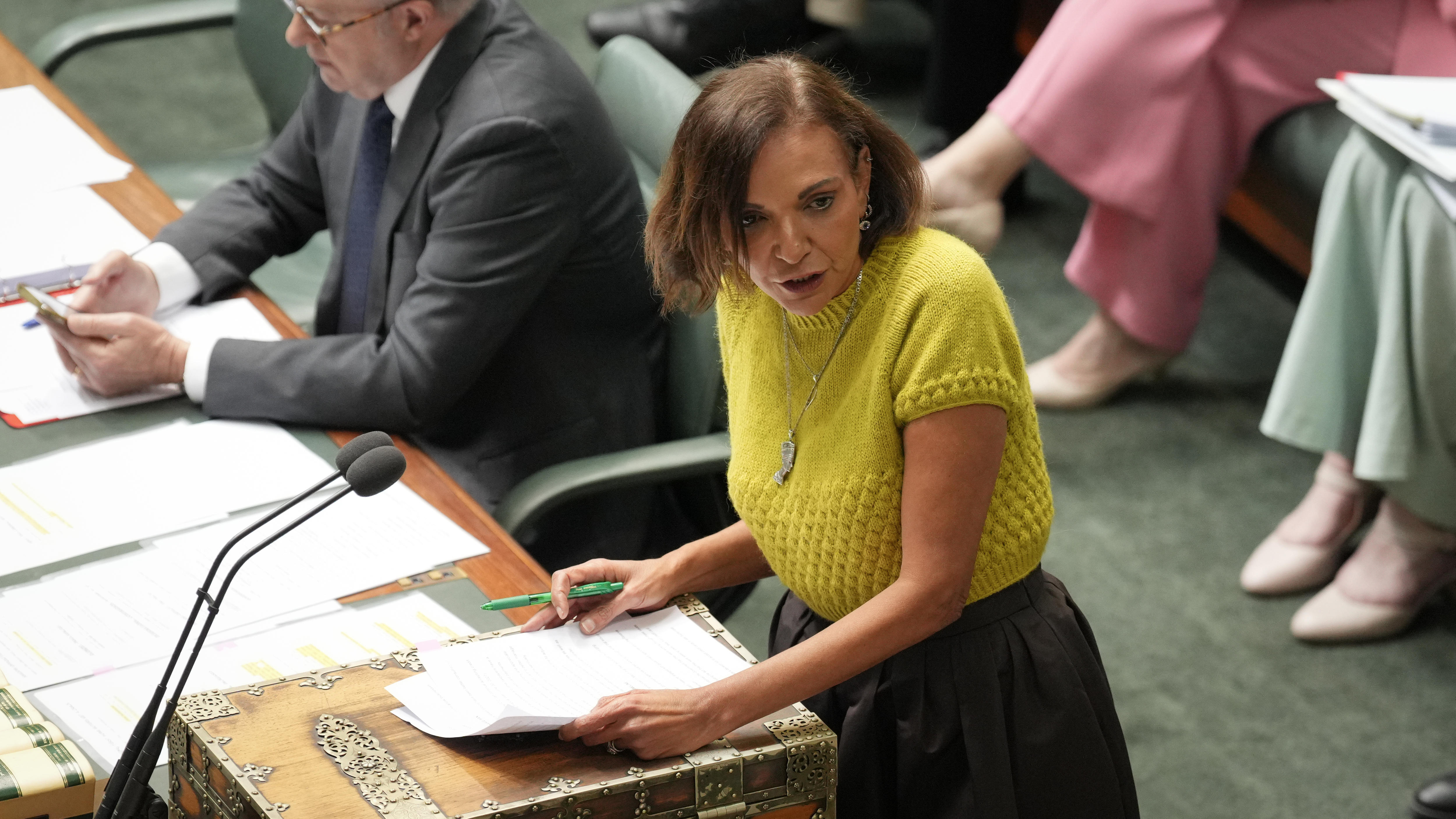 Anne Aly accuses Liberal MP of racism after 'stoning' comment