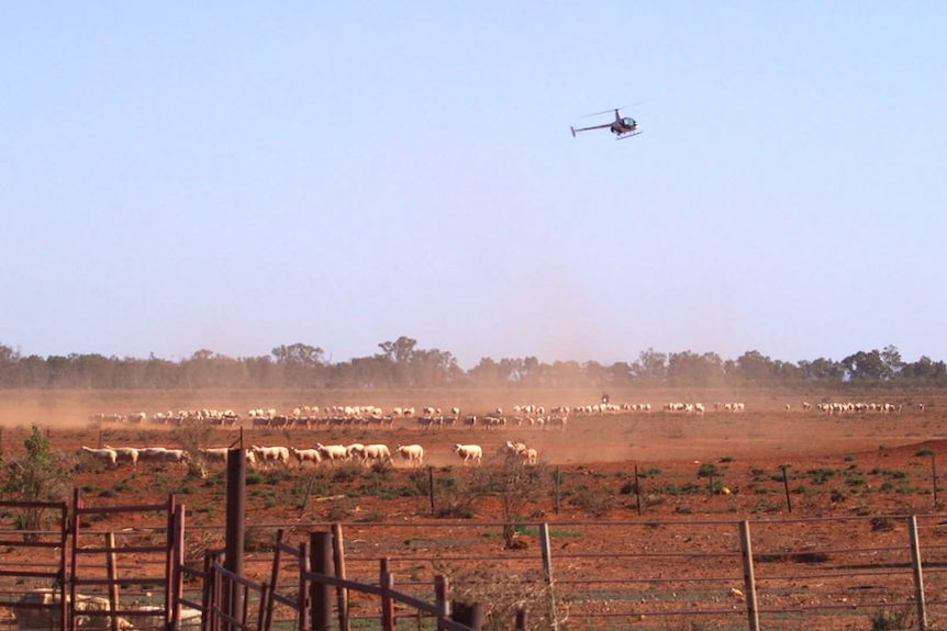 Coping with three years of drought